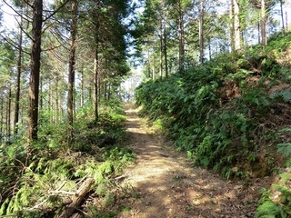 CIMG0218.jpg