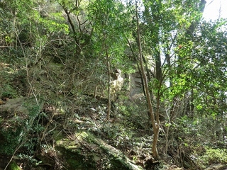 CIMG0229.jpg