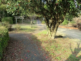 CIMG0259.jpg