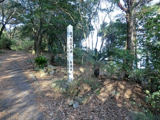 CIMG0260.jpg