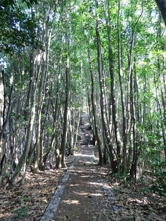 CIMG0295.jpg