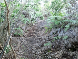 CIMG0326.jpg