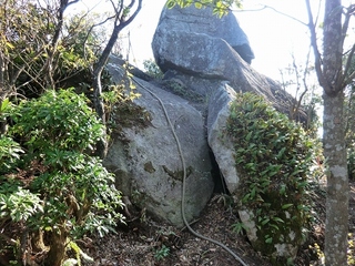 CIMG0332.jpg