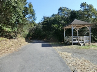 CIMG2102.jpg
