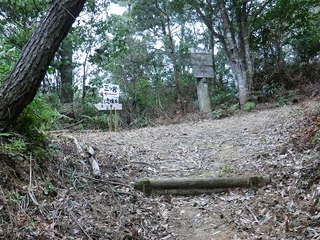CIMG2208.jpg