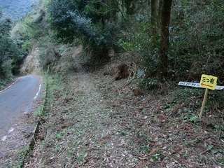 CIMG2223.jpg