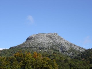 DSC00663.jpg
