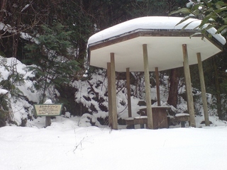 DSC00934.jpg