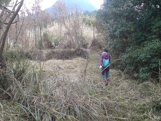 DSC01095.jpg