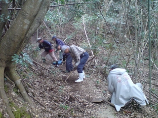 DSC01125.jpg
