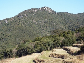 DSCF4109.jpg