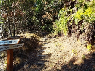 DSCF4118.jpg