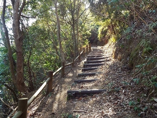 DSCF4161.jpg