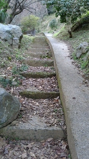 NEC_1383.jpg
