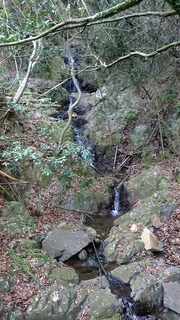NEC_1384.jpg